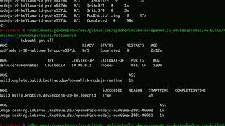 OpenWhisk NodeJS runtime on Knative demo