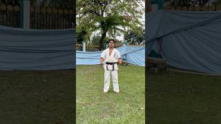 FRONT kick  KARATE🥋 #youtubeshorts #karate #karatekick #power #viral