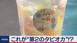 これが“第２のタピオカ”!?