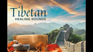 Tibetan Flute Healing Stops Overthinking, Eliminates Stress, Anxiety and Calms the Mind by Dream Reality Meditation Music 91 views 5 months ago 1 hour, 3 minutes