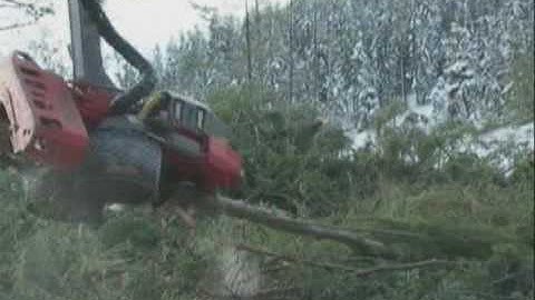 Log Max 7000XT on Cat 320C