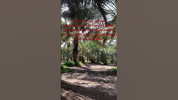 من جوامع دعاء النبي صلى الله عليه وسلم #قران_كريم #دين #السعودية #احاديث #اكسبلور #تلاوه #الشيخ