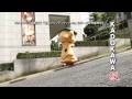 【モッフルにおまかせ！】第１弾　全力で坂をはしる編