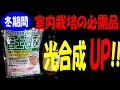 冬期間 室内栽培の必需品 光合成ＵＰ!!