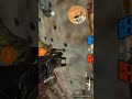 Bullet force glitchs no mapa outspost