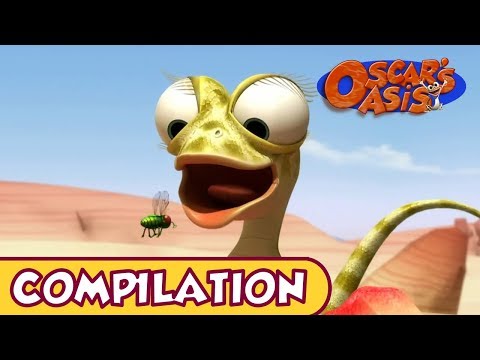 Oscar's Oasis - October COMPILATION 