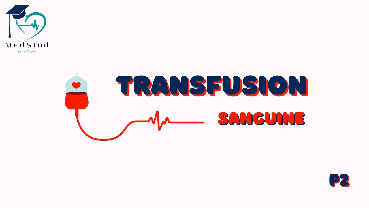 Hématologie | La transfusion sanguine (P2)