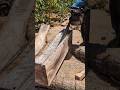 Esta es una de las maderas que mejor se vende en el mercado 😱 #chainsaw #sthil #asmr #madera