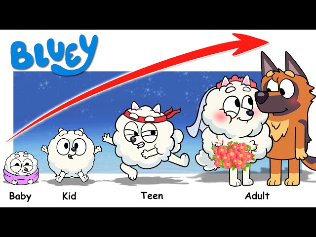 Bluey Heeler Growing Up New Compilation Full | Go WOW class=