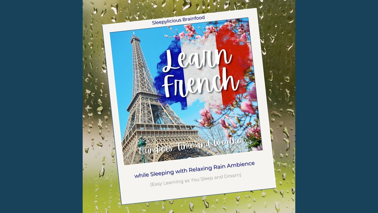 Learn French Numbers: 11 to 100 with Everyday Examples