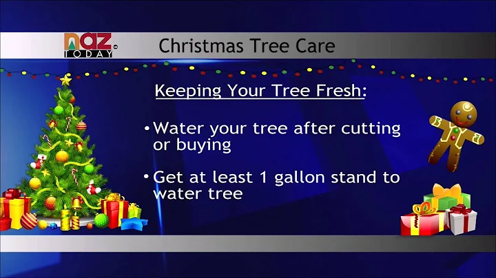 Tips for Acquiring a Live Christmas Tree