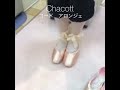 トゥシューズレポート☆チャコット　コード　アロンジェ