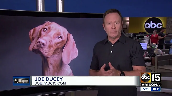 Can renters deny emotional support animals?