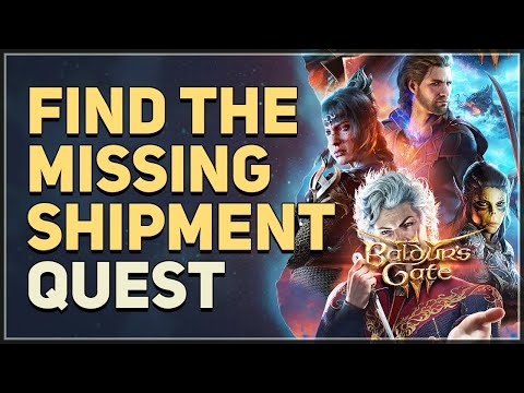 Find the Missing Shipment Baldur's Gate 3