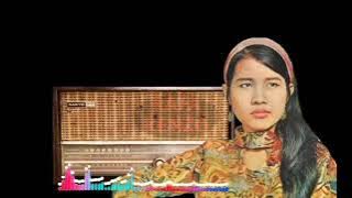 JANGAN BIARKAN - ELVI SUKAESIH