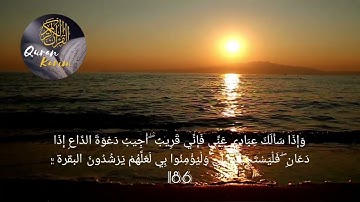 واذا سالك عبادي فاني قريب. بصوت الشيخ #مشاري #العفاسي. #حالات واتساب قران#سوره#البقره