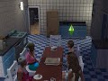 04 Minutos e 11 Segundos de Puro The Sims 4