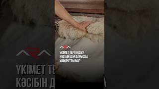 🫢 Үкімет тері өңдеу кәсібін дағдарысқа ұшыратты ма?