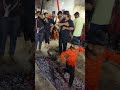 Aag Zani 2023 9 Muharram Mahona Paschim Jagdishpur Amethi UP Aag Zani 2023 9 Muharram Mahona Paschim Jagdishpur Amethi UP