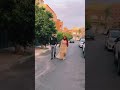 نهيلة في أحدث ظهور لها تايتمترز صوفيا Taytmaters صوفيا نهيلة عيشوشة صوفيا تايتمترز نهيلة في أحدث ظهور لها تايتمترز صوفيا Taytmaters صوفيا نهيلة عيشوشة صوفيا تايتمترز