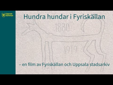 Video: 10 saker du behöver innan du får en hund