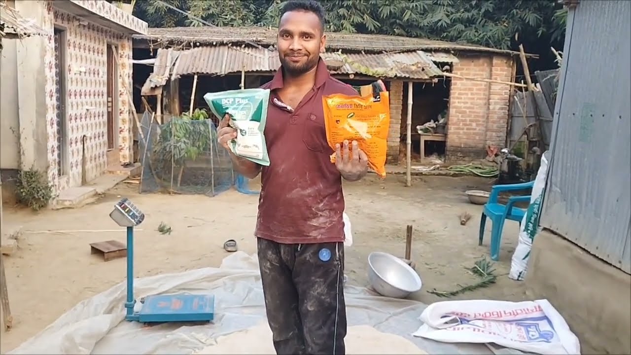 মোটাতাজাকরণ গরুর জন্য ১০০ কেজি খাবার মিক্সচার করলাম কি কি উপাদান দিলাম দেখুন 🐄