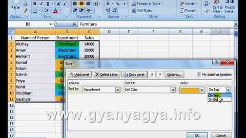 Sorting Data & Using Filter Function in MS Excel 2007 in Hindi Part 6