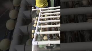 Prepared Egg peeling machine