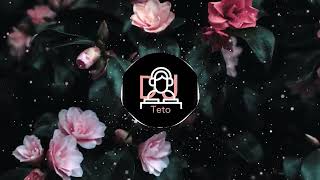 ريمكس - وائل جسار -النهاية واحدة | Dj Teto