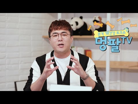 씨스팡 - 멍팔 TV  (수의사가 추천하는 강아지 관절영양제!)