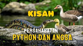 VIRAL !!!! KISAH PERSAHABAT ULAR PYTHON DAN ANGSA #ai #kisah #kisahinspiratif #kisahinspirasi