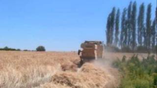 Hasan Karadaş - Düşürdün Aşkin Narina.wmv