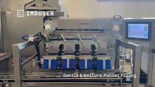 Automatic Cherry Weighing & Packing Line | Linear Multihead Weigher for Punnets & Clamshells
