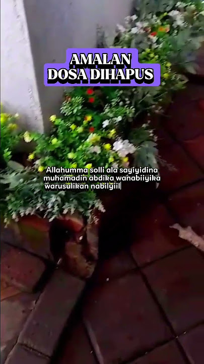 HpusDosa #practice #prayer #selfreminder #viral #trending #trendingshorts #shorts #fyp #viralshorts