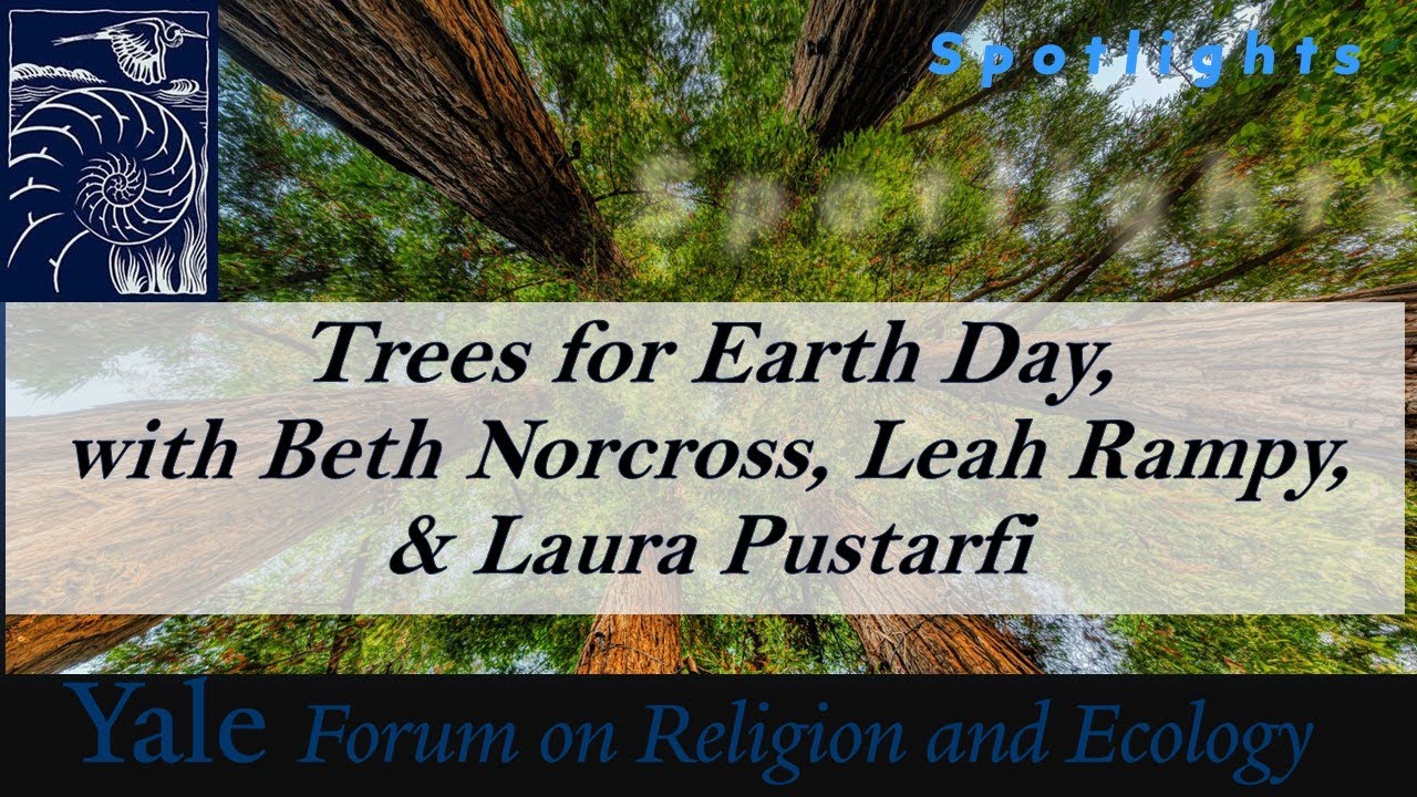 Spotlights, 5.15. Trees for Earth Day, with Beth Norcross, Leah Rampy, & Laura Pustarfi