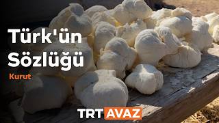 Türk'ün Sözlüğü | Kurut