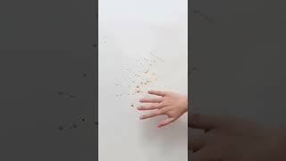 Transparent Wallpaper A Versatile And Protective Solution Ind79