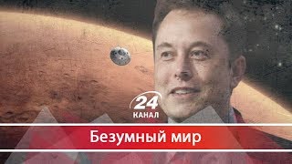 Всемирное интернет-покрытие: как Илон Маск может стать властителем мира, Безумный мир