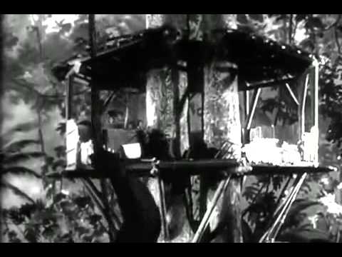 mighty-joe-young-(1949)-|-trailer