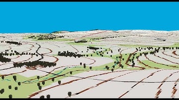 Konza Prairie Perspective View