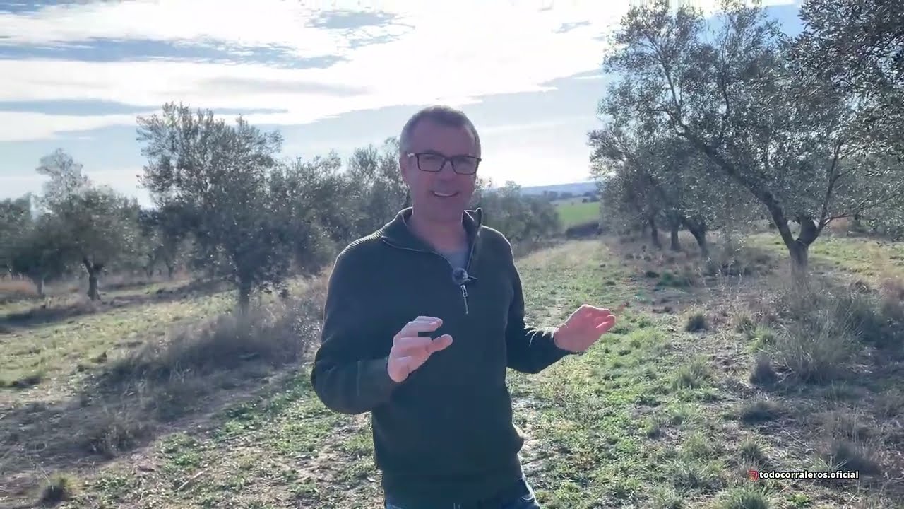 Como Cultivar Olivos Aplicando la Agricultura Regenerativa Paso a Paso (Francesc Font)