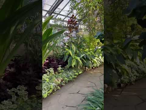 Video: Toronto Botanik Bahçesi: Eksiksiz Kılavuz