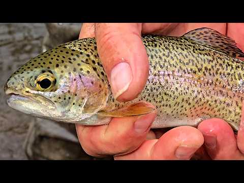First Time Trout Fishing