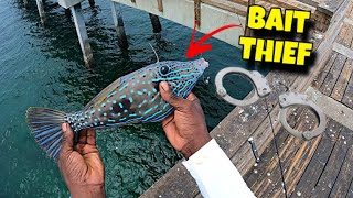 FINALLY Caught the BAIT THIEF Then I …