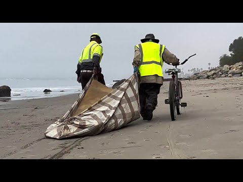 Coastal cleanup takes place before ocean swells increase