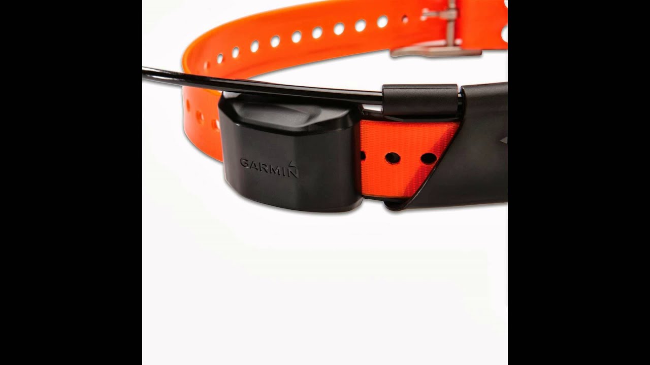 garmin alpha track and train system