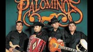 LOS PALOMINOS - ESCUCHA MI AMOR chords