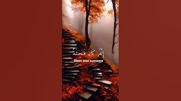 ﴿ وَلَا تَقْرَبُوا الزِّنَا ۖ إِنَّهُ كَانَ فَاحِشَةً وَسَاءَ سَبِيلًا﴾[ سورة الإسراء: 32] #اكسبلور