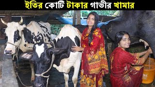 ইতির কোটি টাকার গাভীর খামার।গাভী পালনে বেশি লাভবান হওয়ার উপায় জানুন।Ety Cow Farming