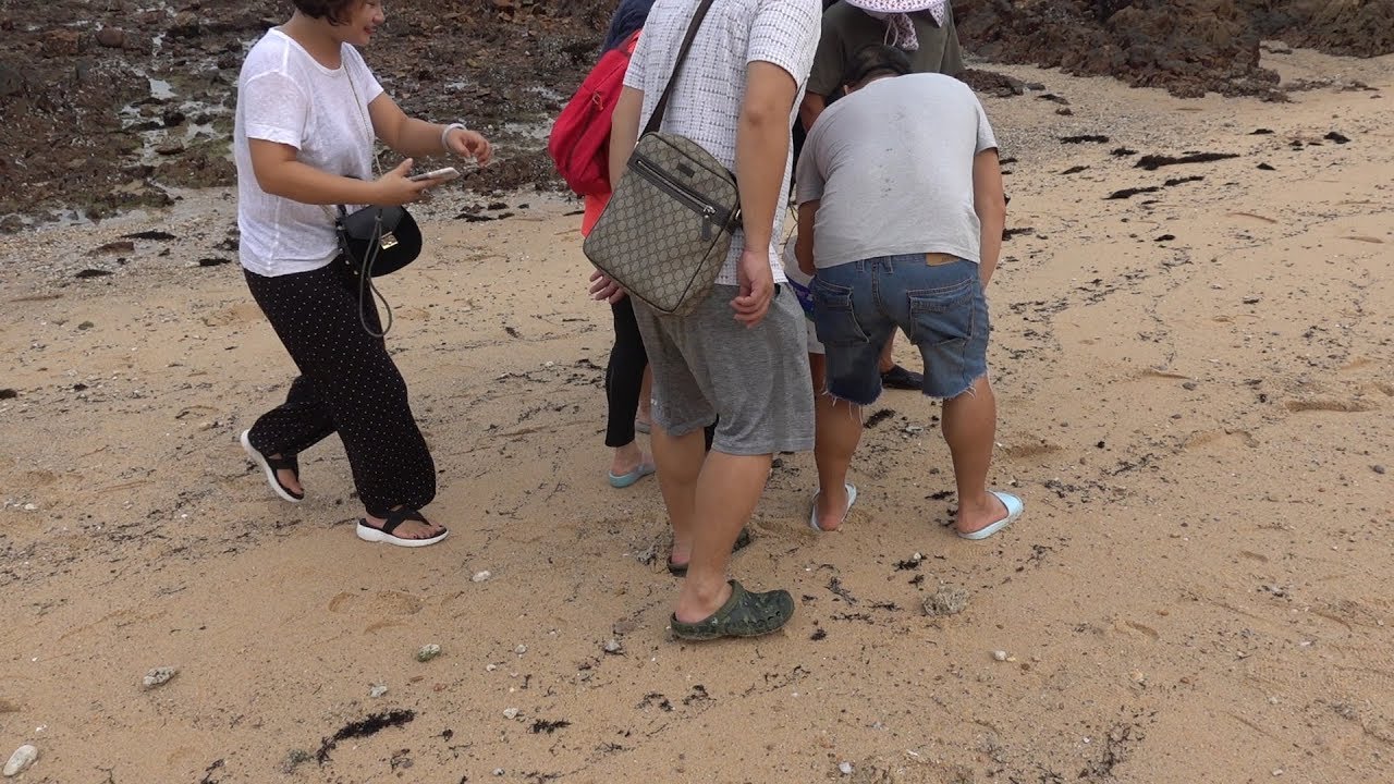 老四在鲍鱼区赶海，抓到好货引来不少人围观，大家都想看看是什么